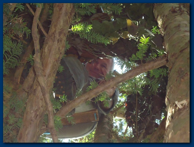 600x449 pixels (133K)